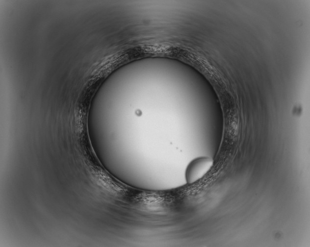 X0000101220658200806271448