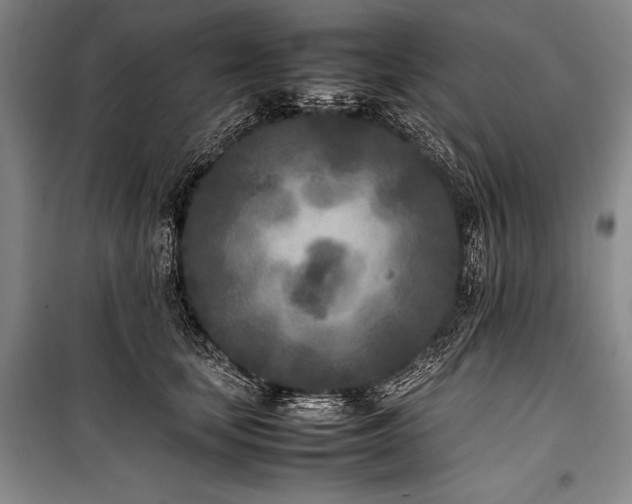 X0000101220659200806271449
