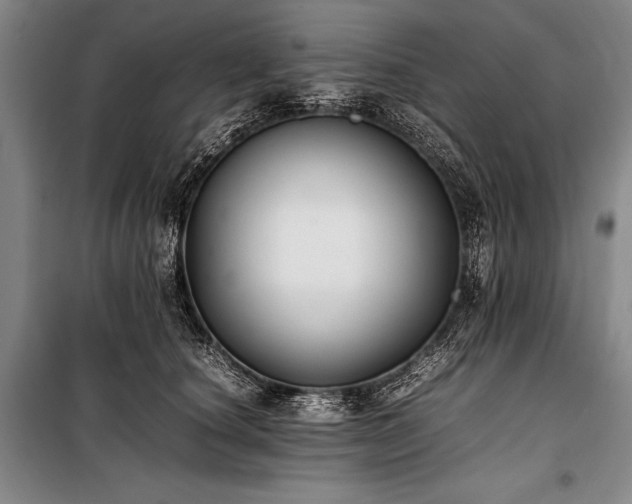 X0000101220660200806271449
