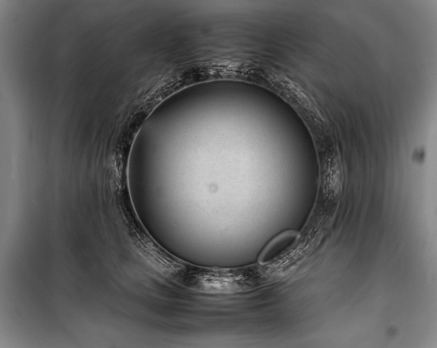 X0000101220661200806271449