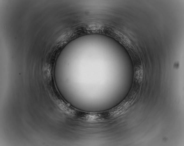 X0000101220662200806271449