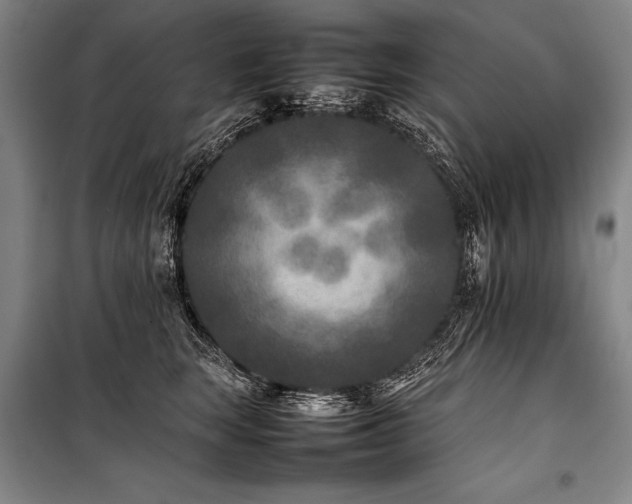 X0000101220663200806271449