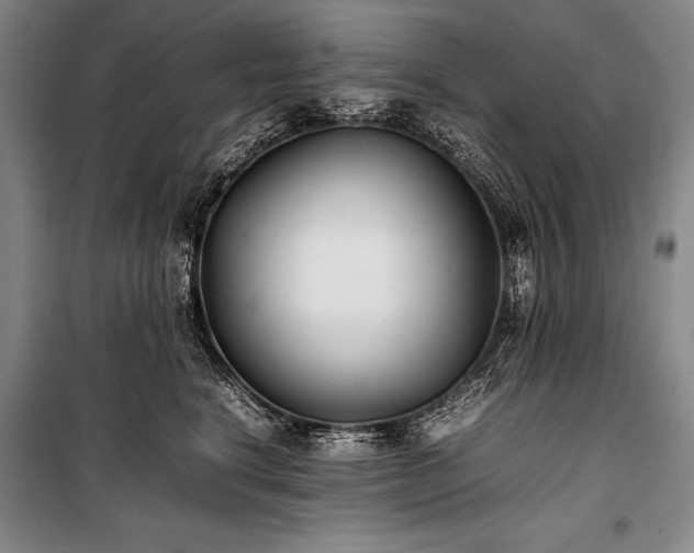 X0000101220664200806271449
