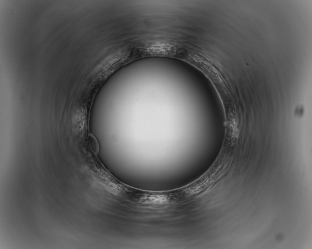 X0000101220665200806271449