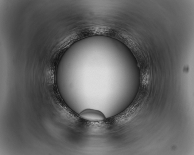 X0000101220666200806271449