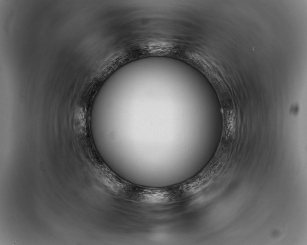 X0000101220667200806271449