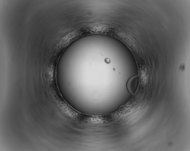 X0000101220668200806271449
