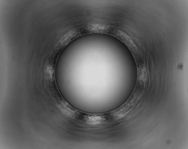 X0000101220669200806271449