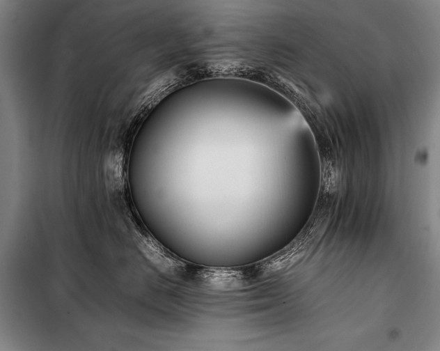 X0000101220670200806271449