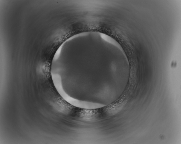 X0000101220672200806271449