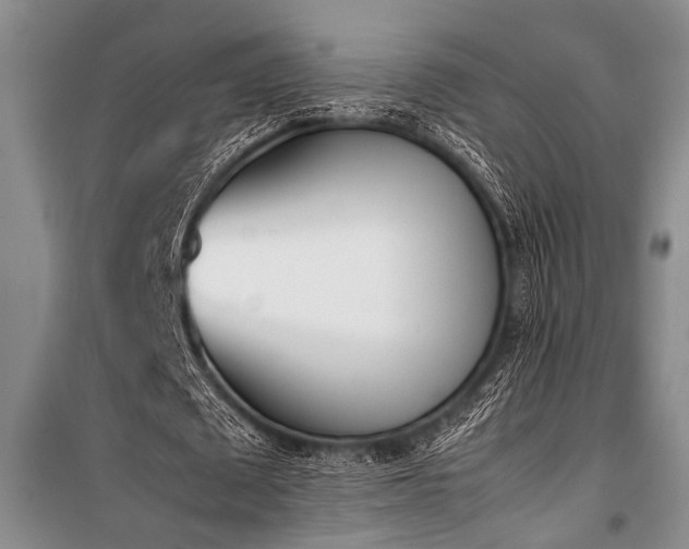 X0000101220673200806271448