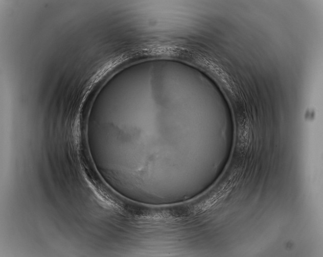 X0000101220674200806271448