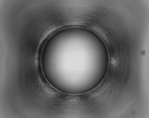 X0000101220676200806271448