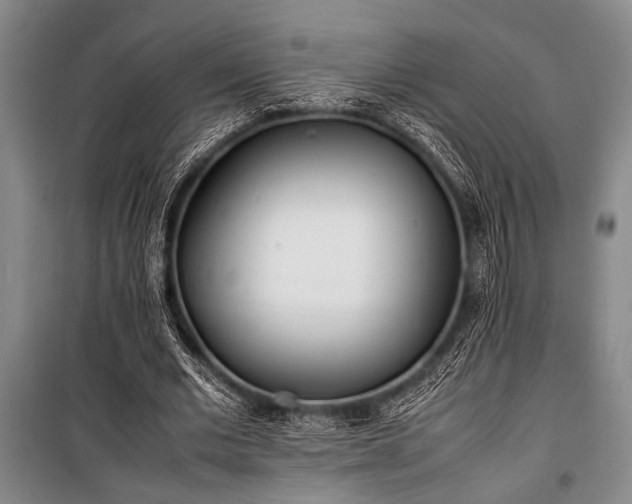 X0000101220677200806271448