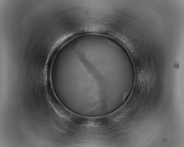 X0000101220678200806271448