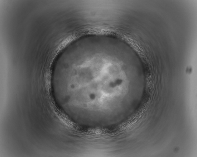 X0000101220679200806271448