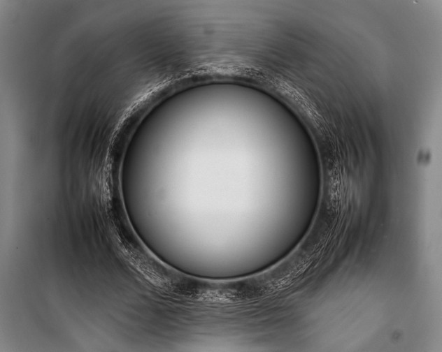 X0000101220680200806271448