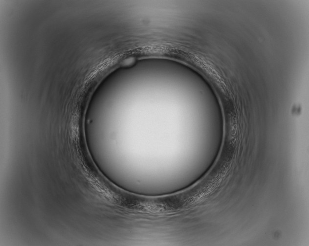 X0000101220681200806271448