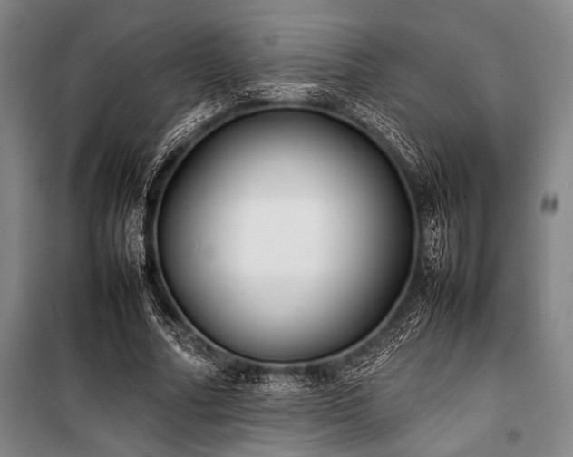 X0000101220682200806271448
