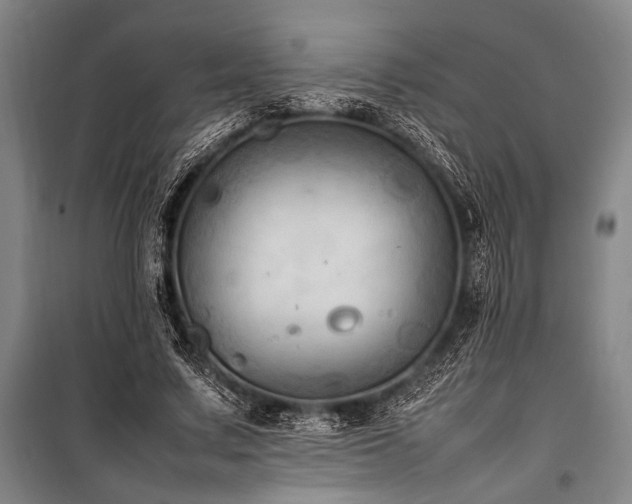 X0000101220683200806271448