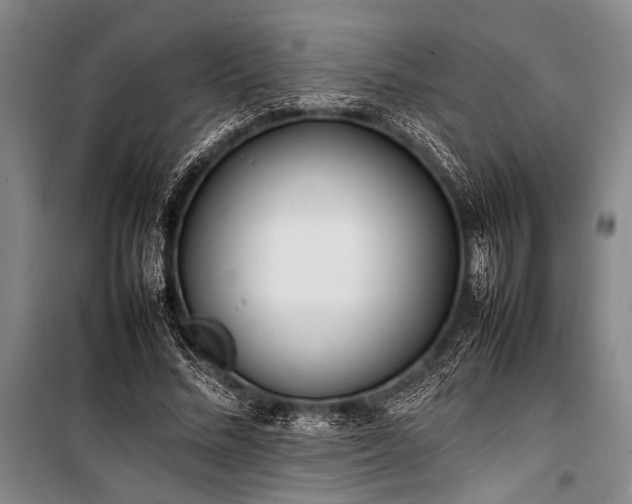 X0000101220684200806271448