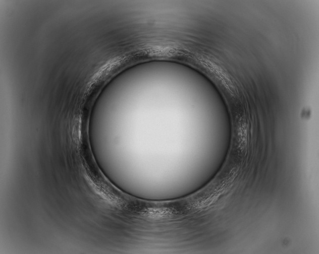 X0000101220686200806271448