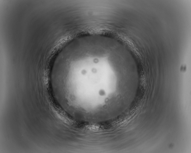 X0000101220687200806271448