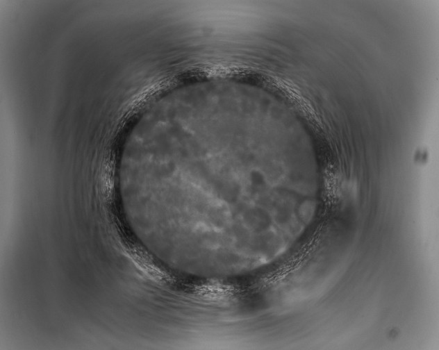 X0000101220691200806271448