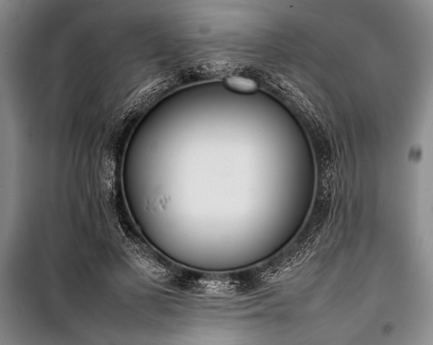 X0000101220693200806271448