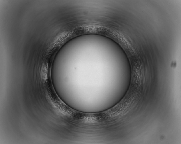X0000101220694200806271448