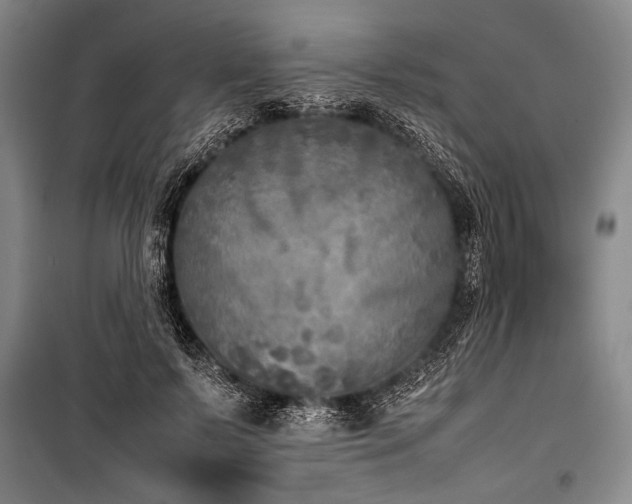 X0000101220695200806271448