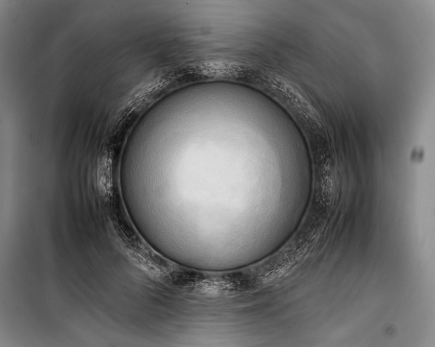 X0000101220696200806271448