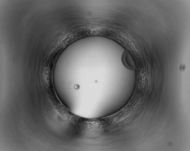 X0000101220698200806271448