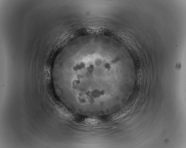 X0000101220699200806271447
