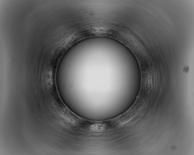 X0000101220700200806271447