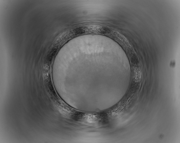X0000101220701200806271447