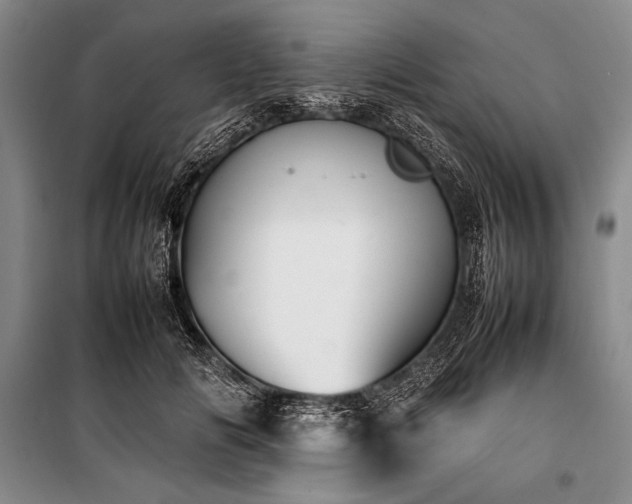 X0000101220702200806271447
