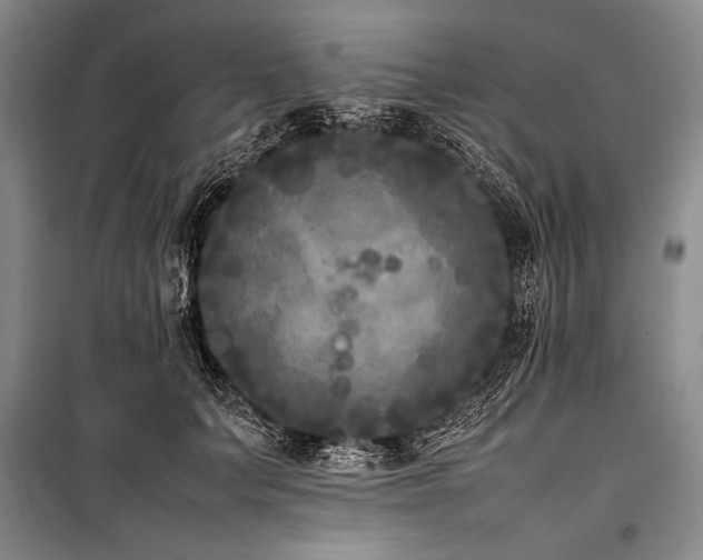 X0000101220703200806271447