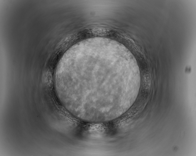 X0000101220705200806271447