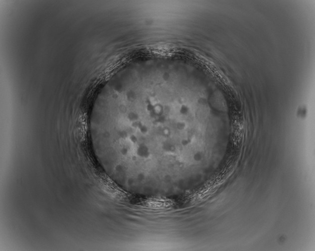 X0000101220707200806271447