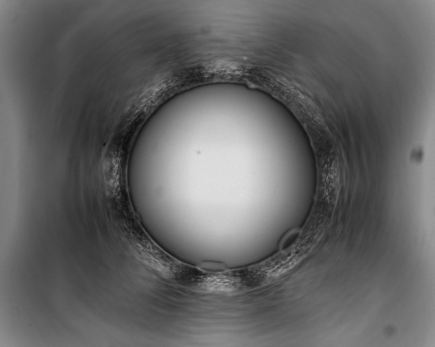 X0000101220708200806271447