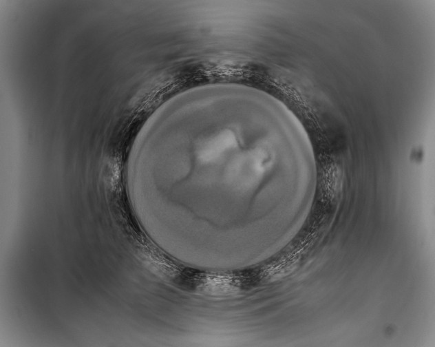 X0000101220709200806271447