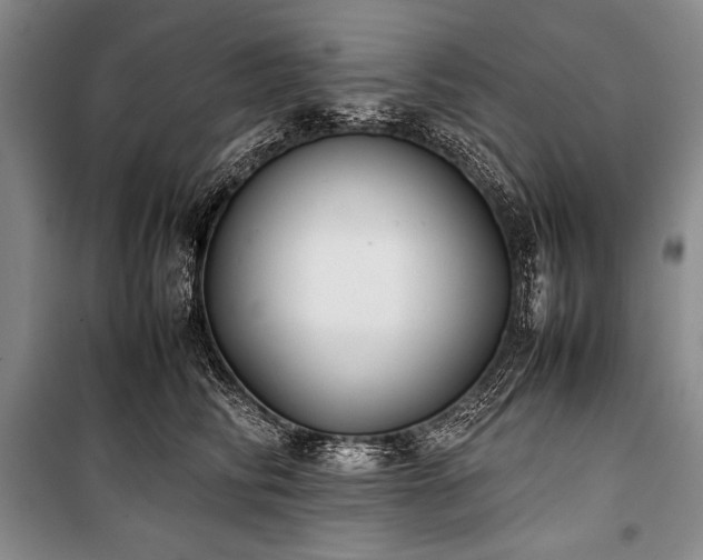 X0000101220710200806271447