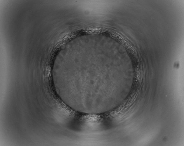 X0000101220711200806271447