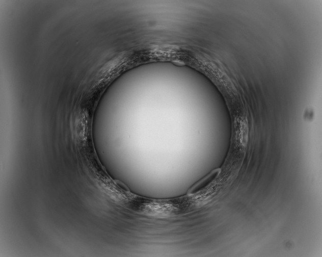 X0000101220712200806271447