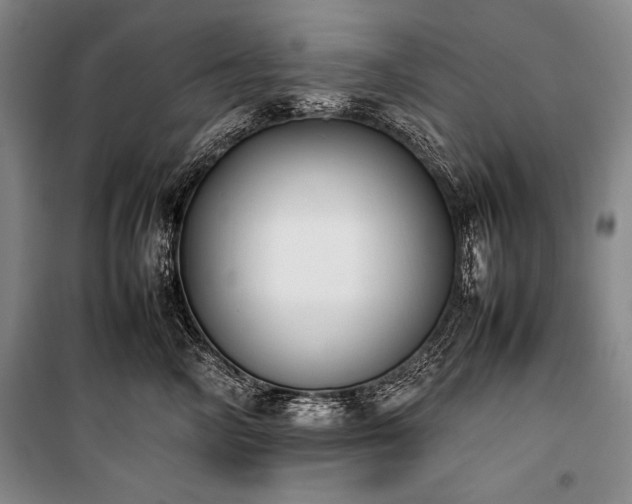 X0000101220714200806271447
