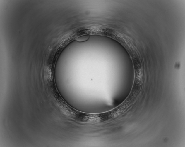 X0000101220715200806271447