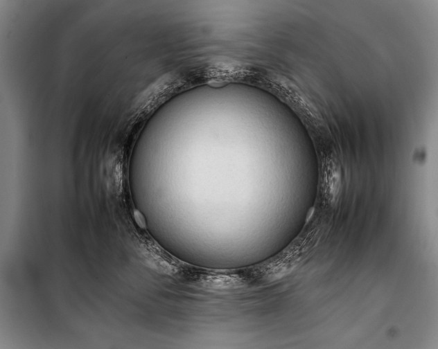 X0000101220716200806271447
