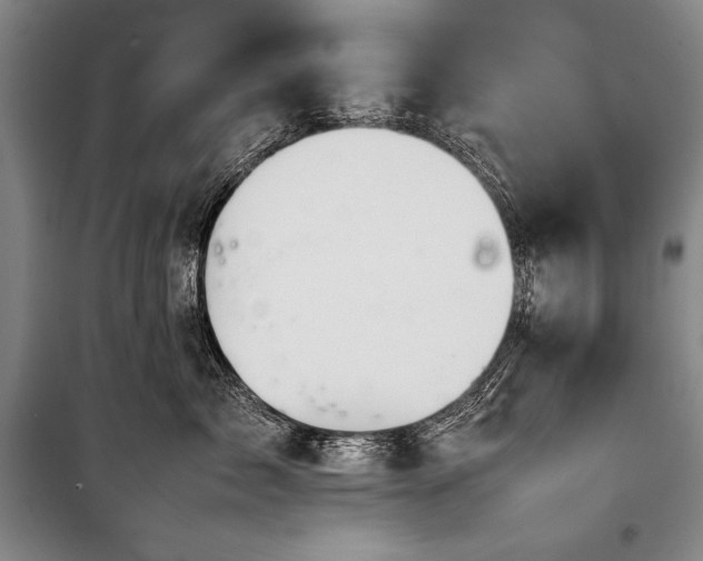 X0000101220717200806271447
