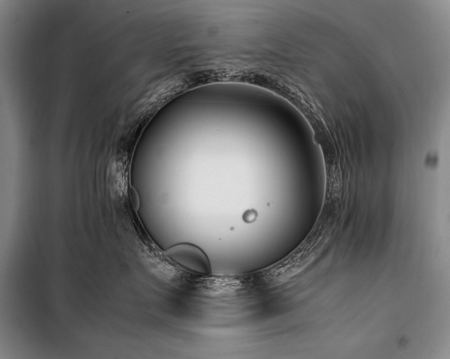 X0000101220719200806271447